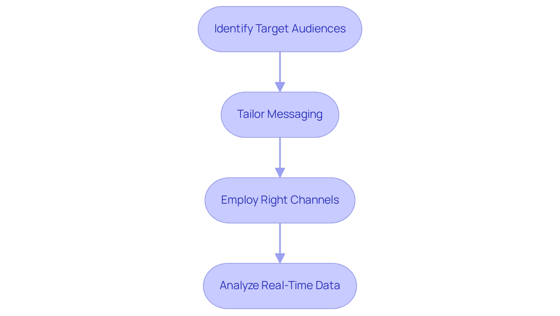 Each box represents a critical step in the marketing and customer engagement strategy, with arrows indicating the flow from identification of audiences to data analysis.