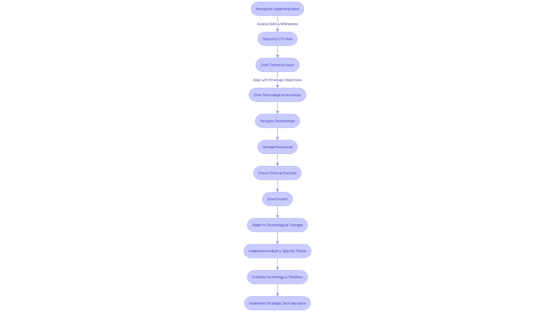 Flowchart illustrating the decision-making process of a Chief Technology Officer (CTO) in a startup Flowchart illustrating the decision-making process of a Chief Technology Officer (CTO) in a startup