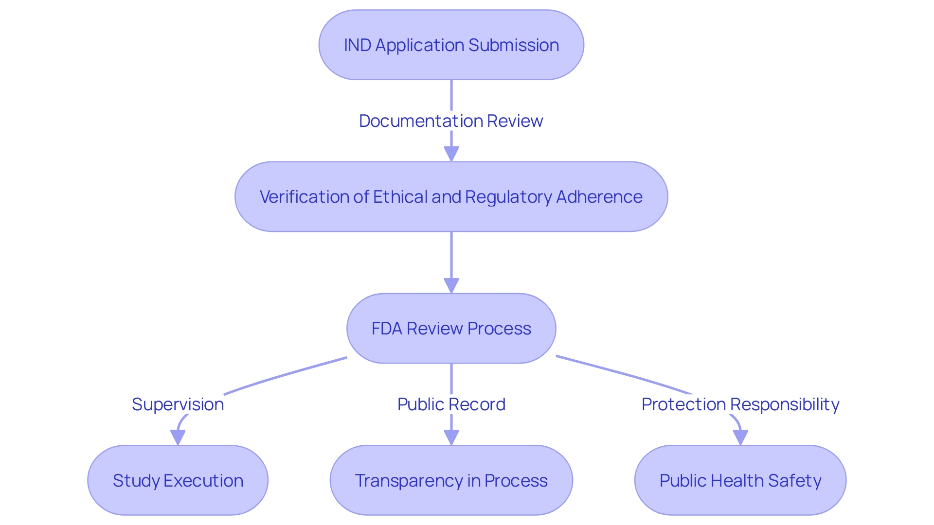 Flowchart illustrating the FDA's review process for Investigational New Drug (IND) applications. The flowchart visually represents the sequential steps involved in the review process, including the initial submission, documentation review, verification of ethical and regulatory adherence, and supervision of the study execution. It highlights the importance of transparency, the role of public record, and the FDA's broader responsibility in protecting public health. Flowchart illustrating the FDA's review process for Investigational New Drug (IND) applications. The flowchart visually represents the sequential steps involved in the review process, including the initial submission, documentation review, verification of ethical and regulatory adherence, and supervision of the study execution. It highlights the importance of transparency, the role of public record, and the FDA's broader responsibility in protecting public health.