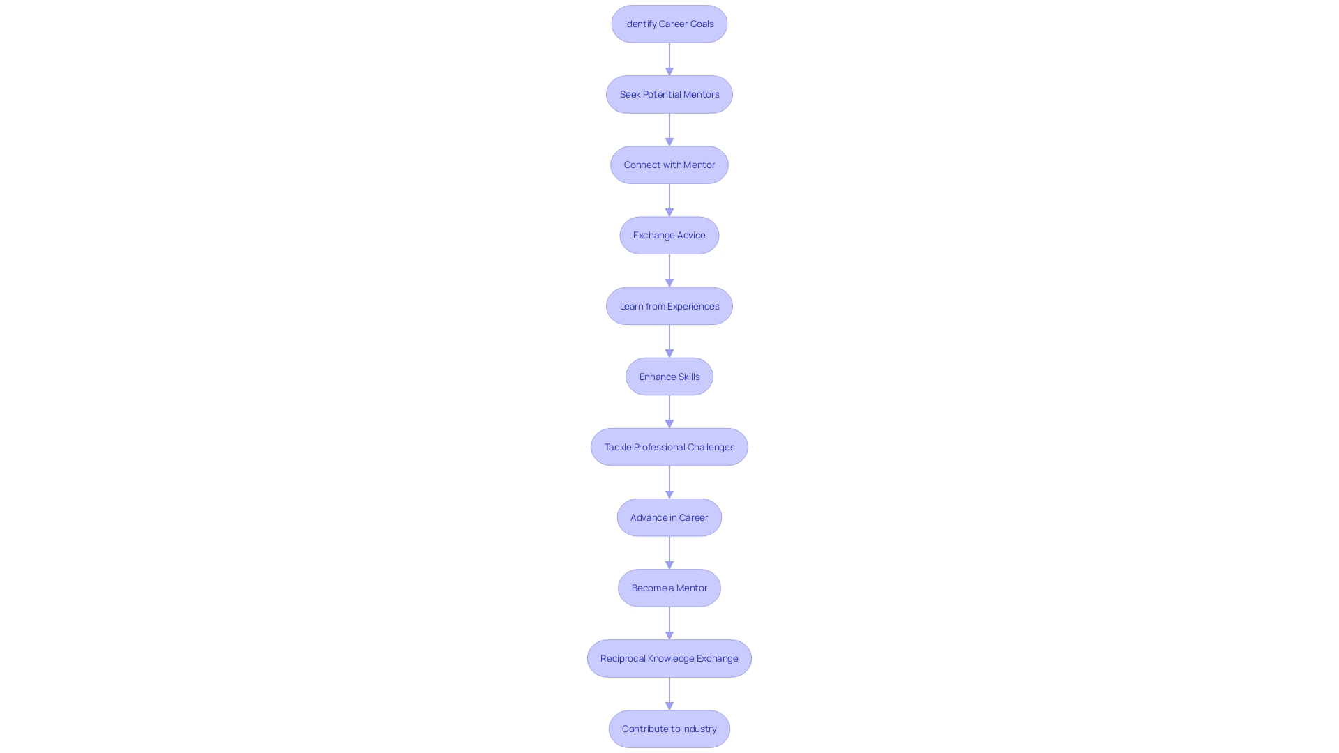 Flowchart illustrating the process of mentorship for CXO roles in startups Flowchart illustrating the process of mentorship for CXO roles in startups