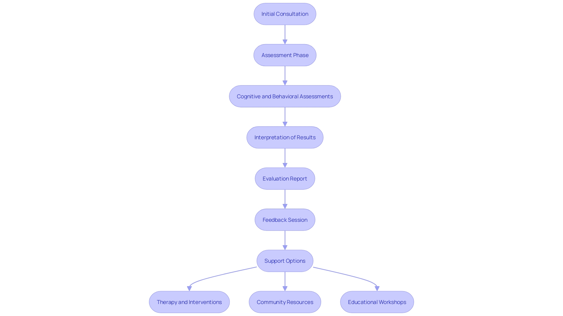 Flowchart: Navigating the Path to an Autism Diagnosis for Adults