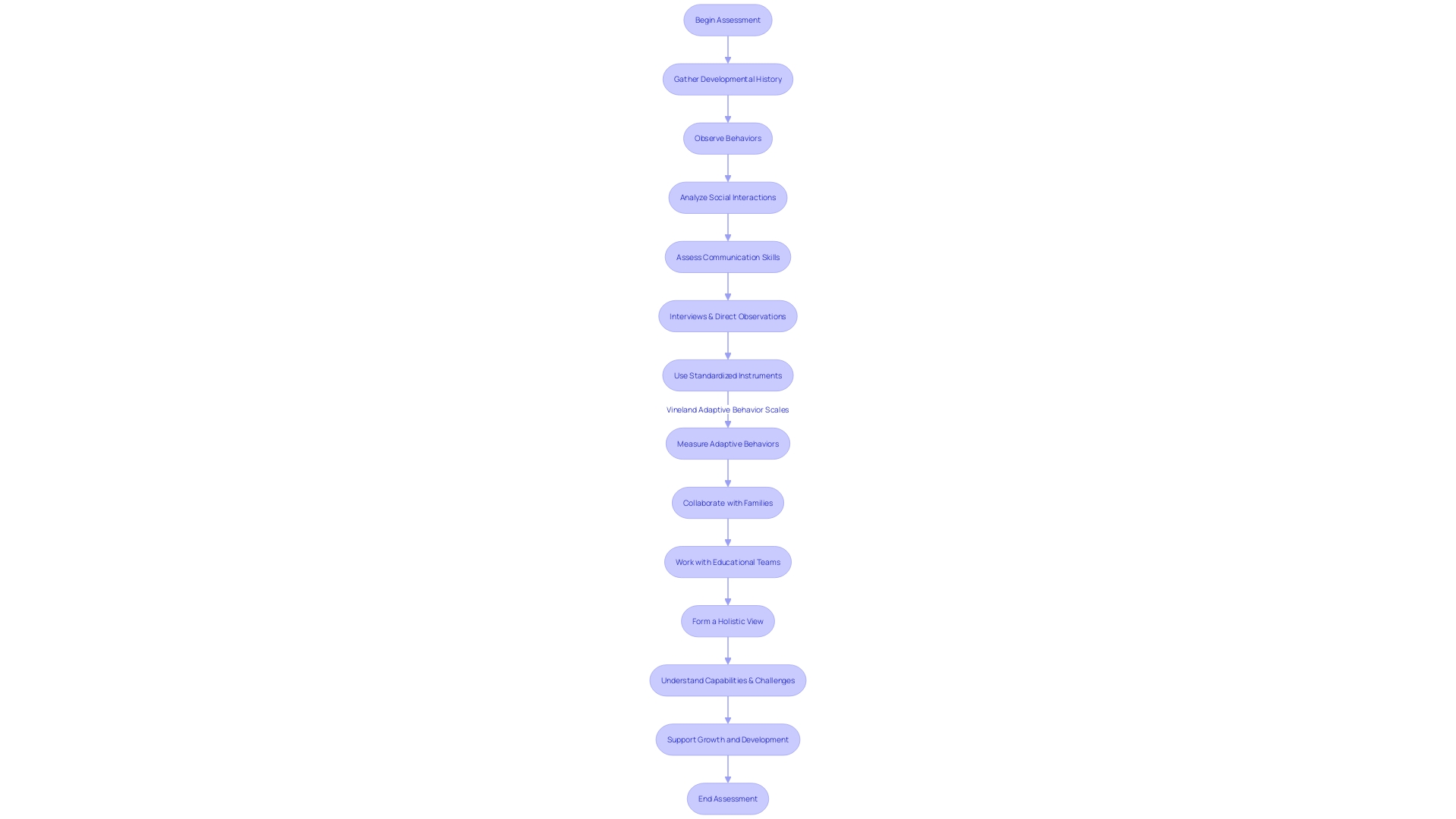 Flowchart: Process of Comprehending an Individual's Neurological Profile
