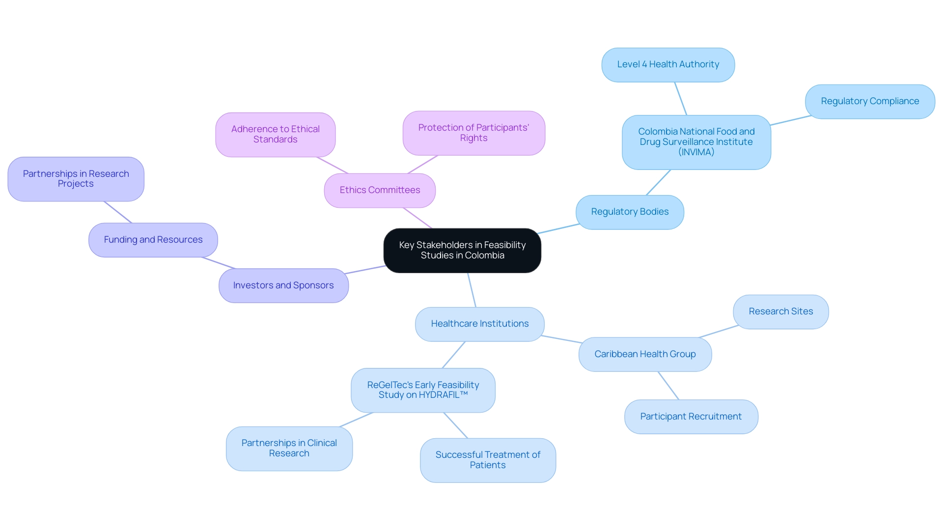 The central node represents the main theme, with branches depicting different stakeholder categories and their roles in feasibility studies. The central node represents the main theme, with branches depicting different stakeholder categories and their roles in feasibility studies.