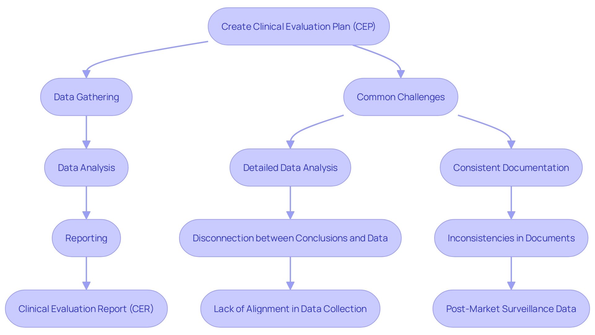 This flowchart outlines the phases of the medical device assessment process, highlighting the sequential steps from strategic planning to reporting. This flowchart outlines the phases of the medical device assessment process, highlighting the sequential steps from strategic planning to reporting.