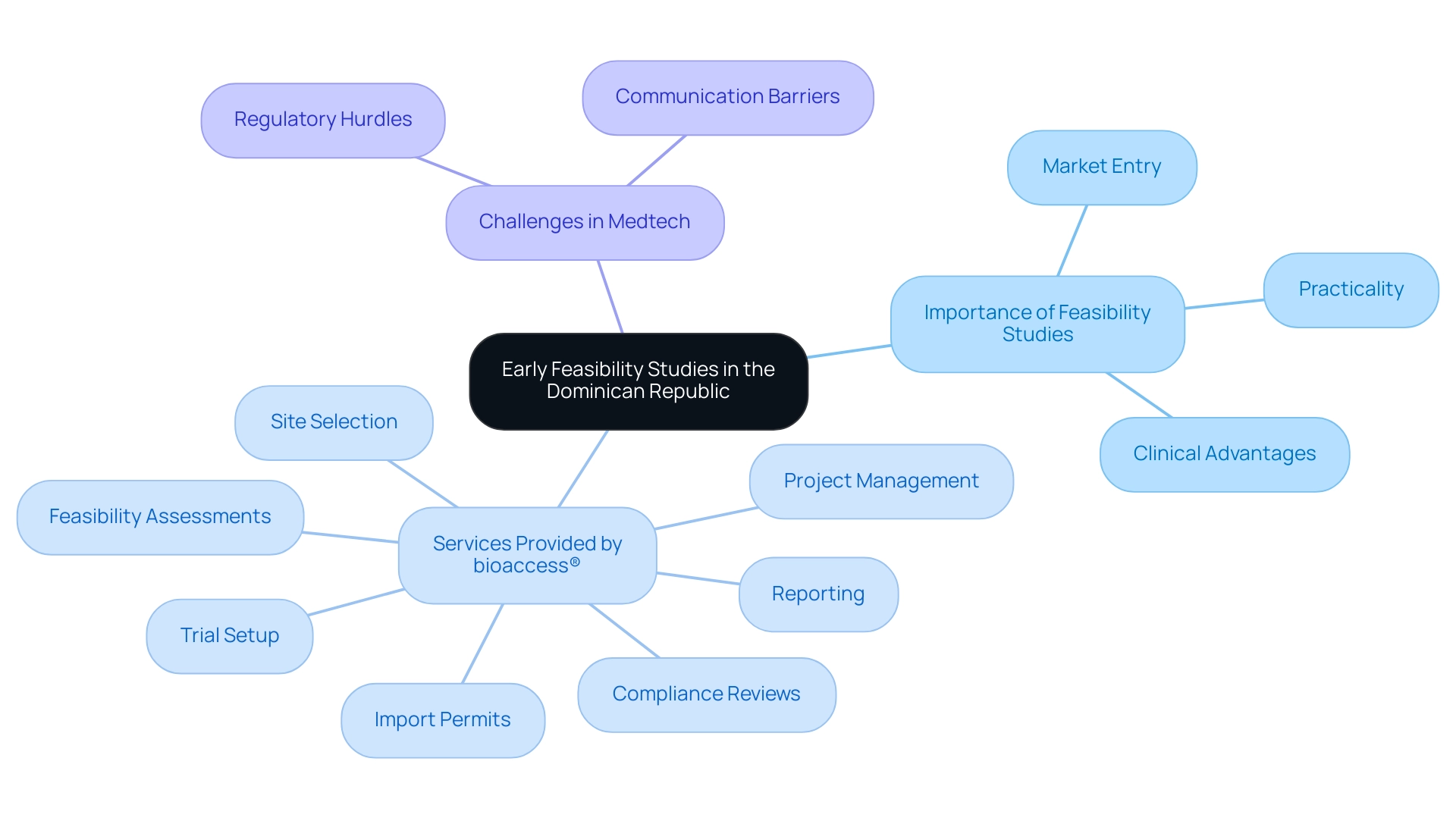 Central node represents the main topic; branches indicate key areas of discussion, with colors differentiating between importance, services, and challenges.